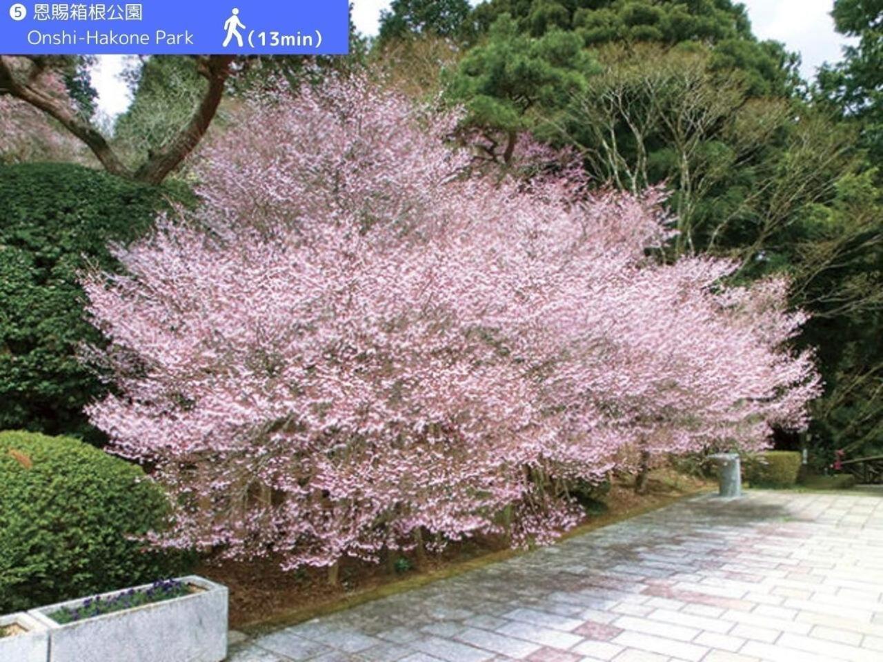 Yoichi Inn Hakone Exteriör bild