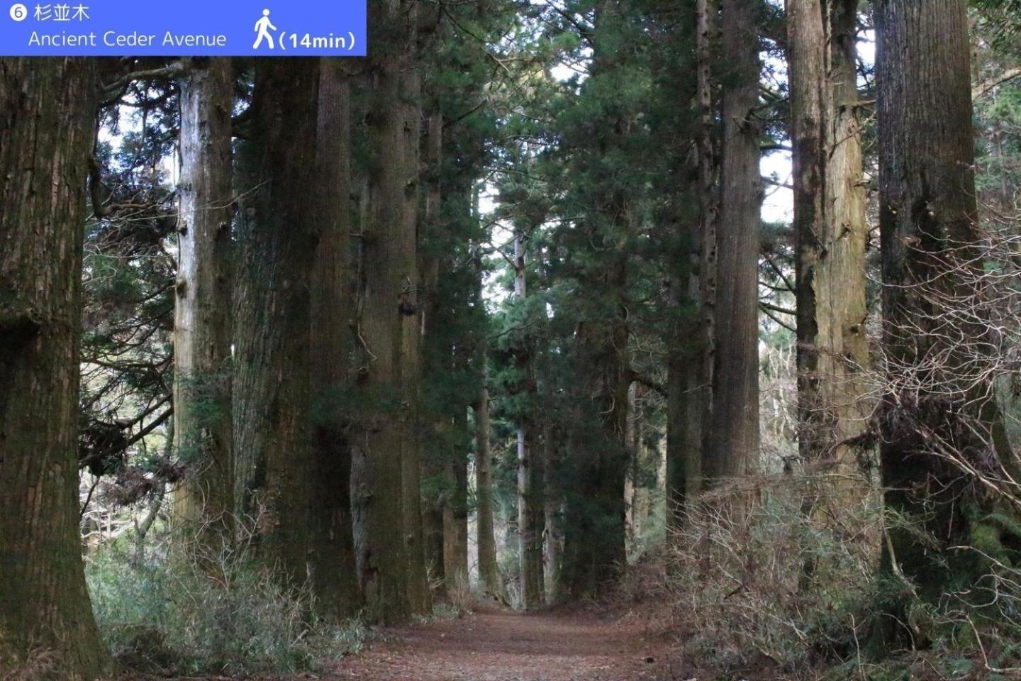 Yoichi Inn Hakone Exteriör bild